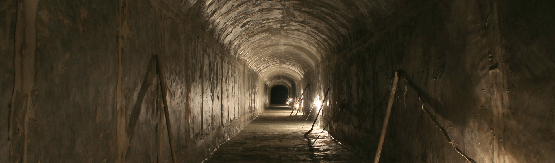 國(guó)電天力